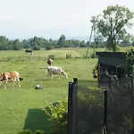 Podhale U Mikolajki-blisko Term Chocholowskich Feriegård