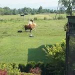 Podhale U Mikolajki-blisko Term Chocholowskich Farm stay Dlugopole
