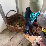 Podhale U Mikolajki-blisko Term Chocholowskich Feriegård Dlugopole
