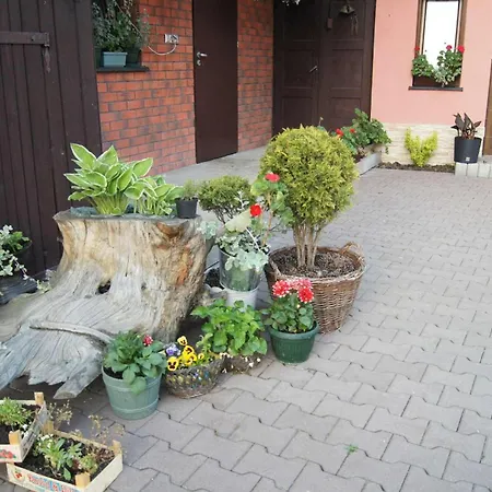 Podhale U Mikolajki-blisko Term Chocholowskich