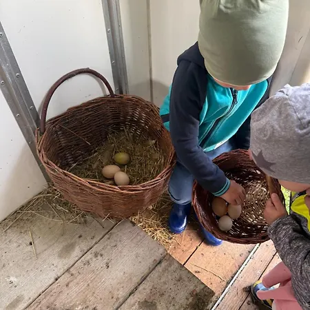 Podhale U Mikolajki-blisko Term Chocholowskich ファームステイ Dlugopole