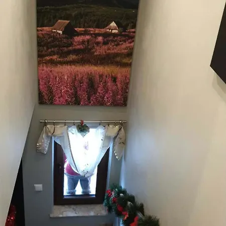 Podhale U Mikolajki-blisko Term Chocholowskich Farm stay Dlugopole