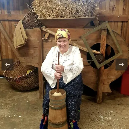 Podhale U Mikolajki-blisko Term Chocholowskich Farm stay