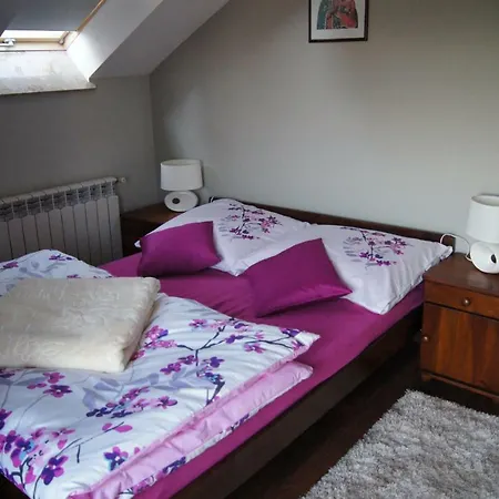 Podhale U Mikolajki-blisko Term Chocholowskich Farm stay Dlugopole